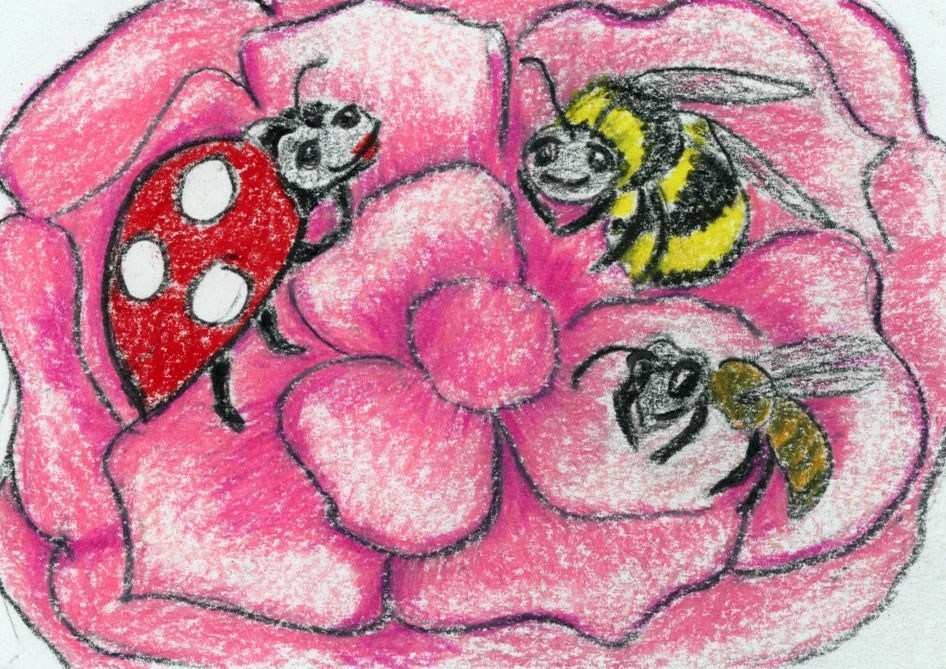 Ladybug, honeybee, bumblebee